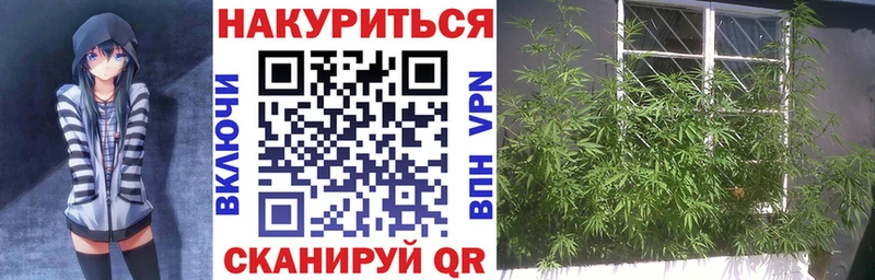 Марихуана SATIVA & INDICA  Купить  Бийск 